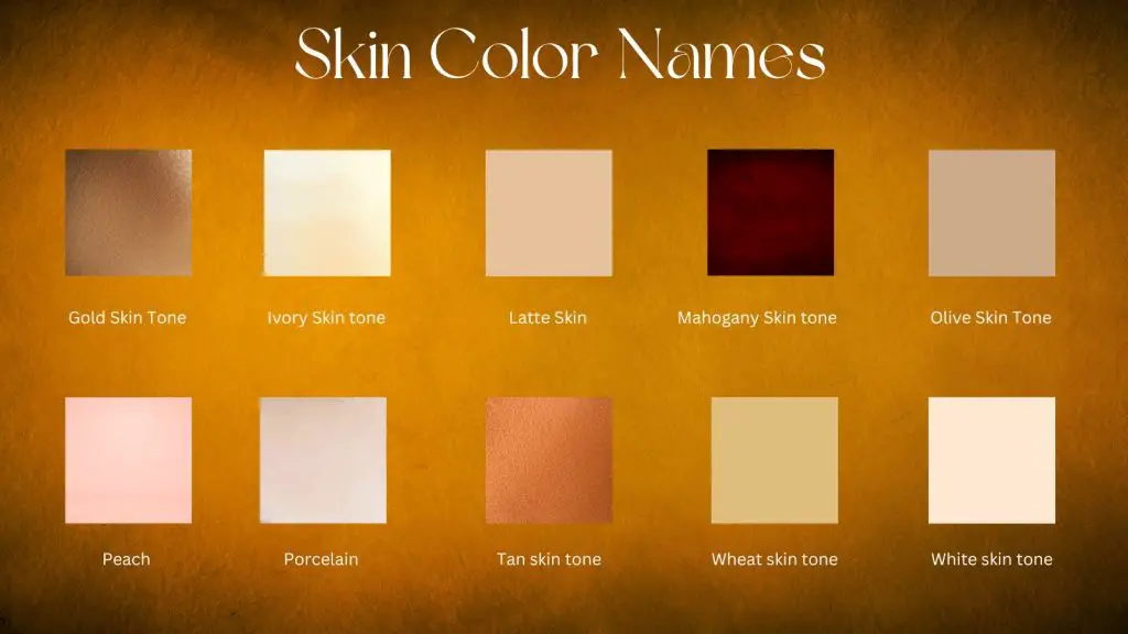 different skin colors or tones