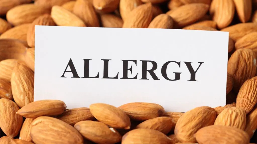 Almond allergies concept