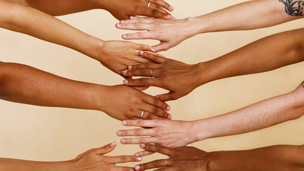 Hand and arms of different skin tones