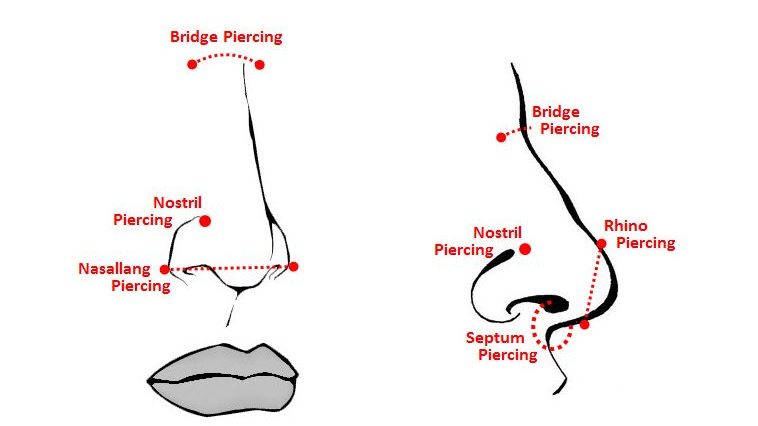 Nose piercing positions shown with a diagram